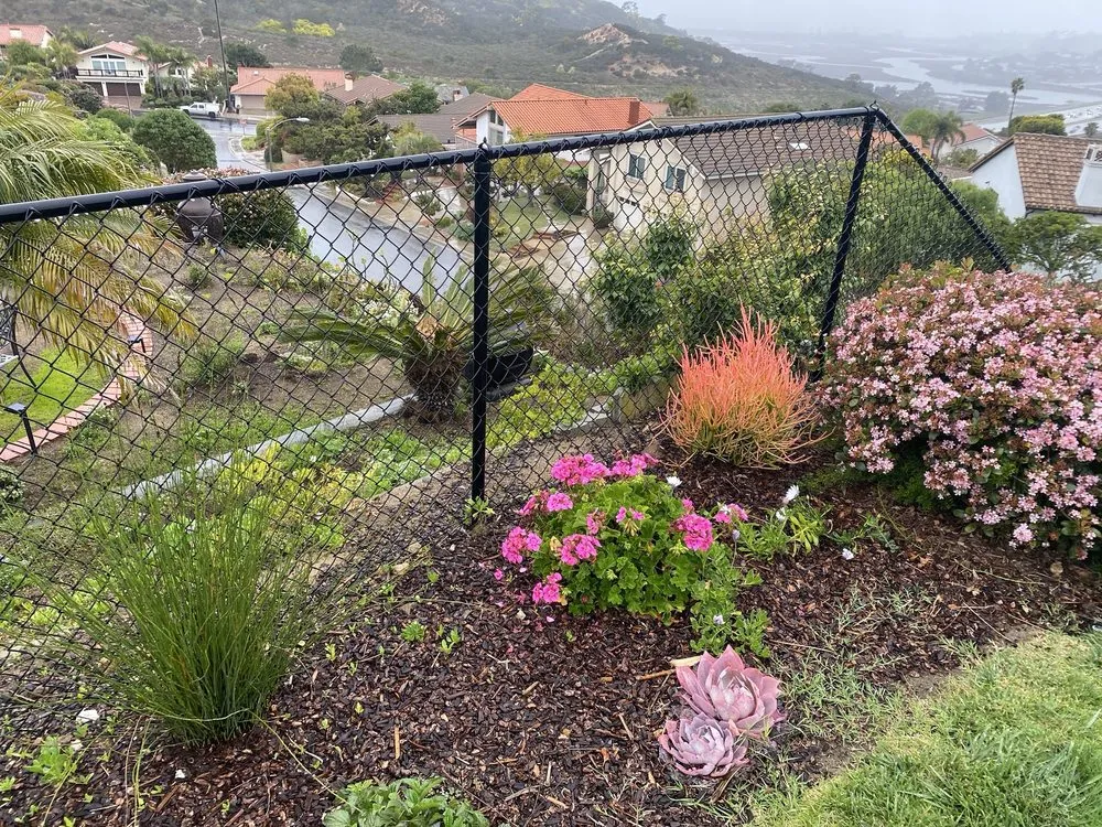 Trusted landscaping services experts serving Oceanside, CA - Wise River Landscaping