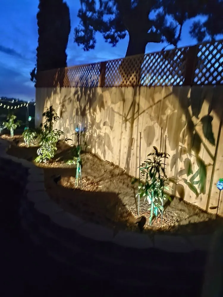 Expert outdoor landscaping experts serving Oceanside, CA - Wise River Landscaping