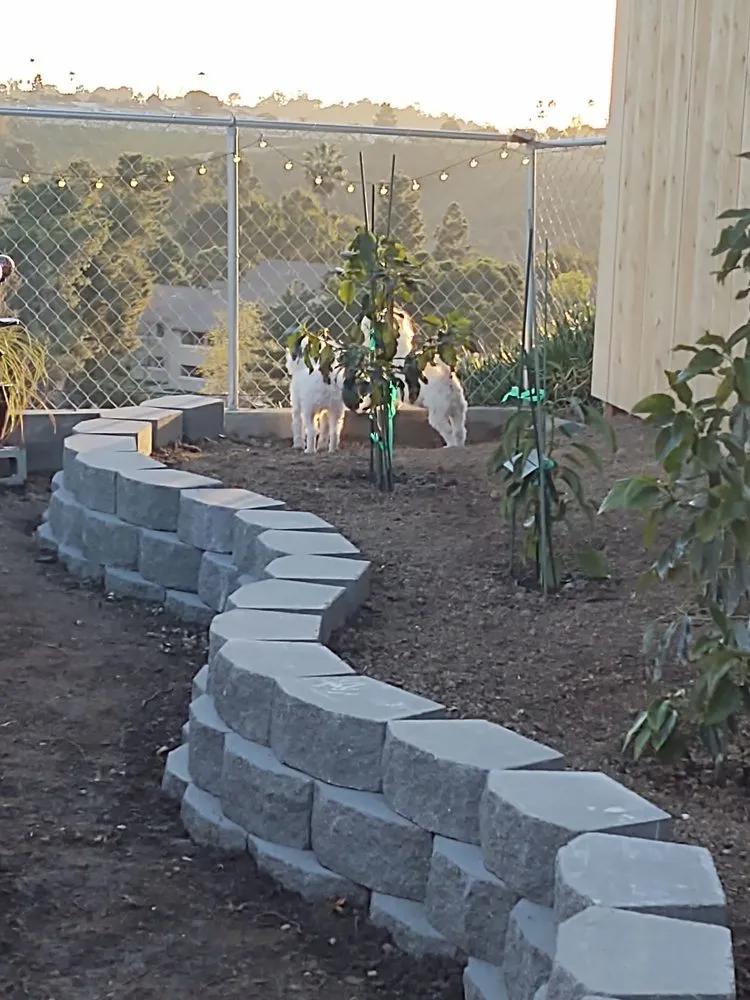 Custom yard maintenance for year-round maintenance in Oceanside, CA by Wise River Landscaping