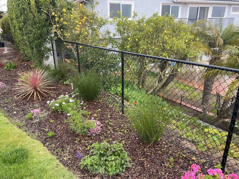 Local yard cleanup service in Oceanside, CA - Wise River Landscaping