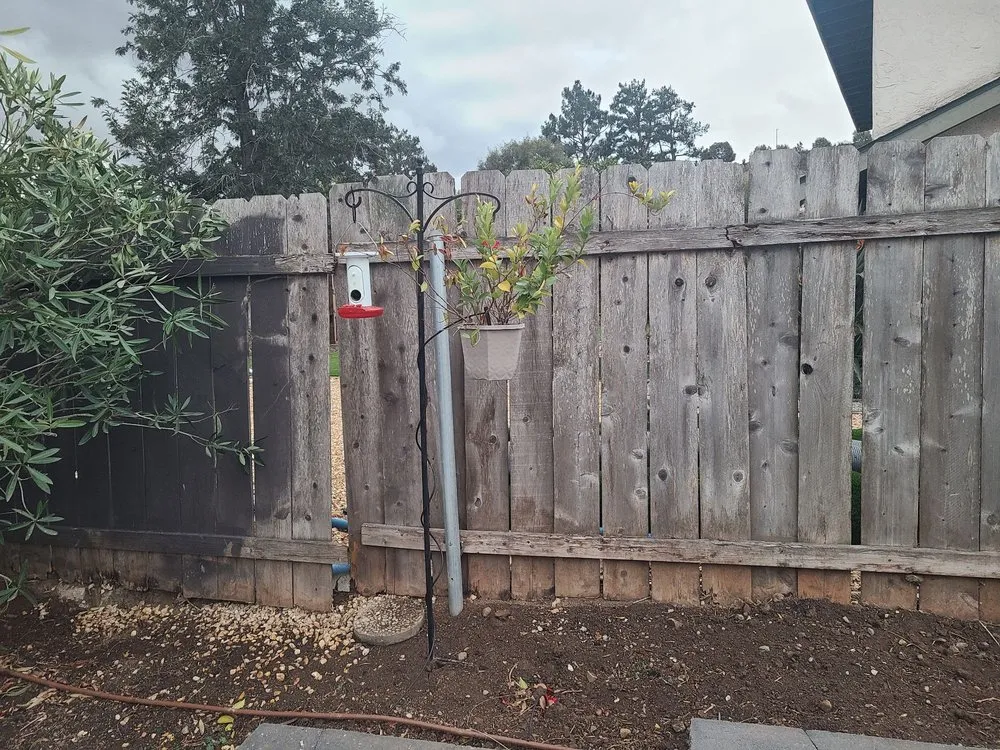 Top-rated lawn mowing service in Oceanside, CA by Wise River Landscaping