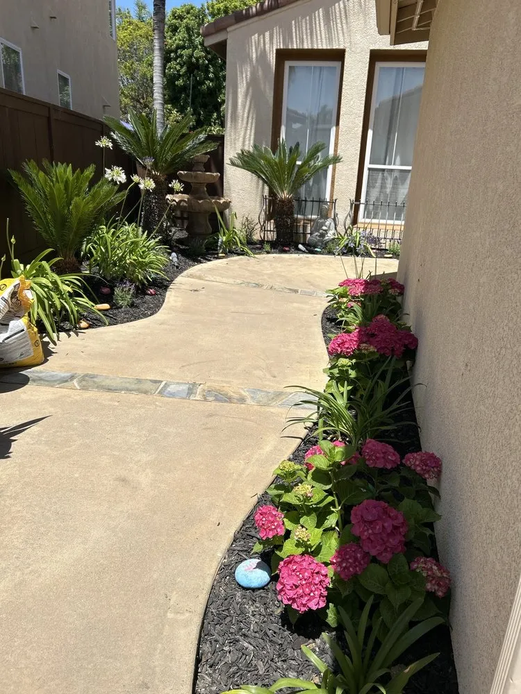 Expert residential landscaping in Oceanside, CA - Wise River Landscaping