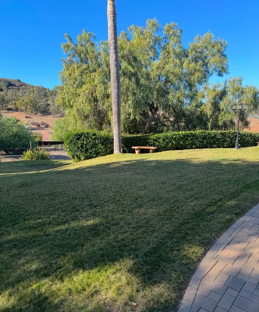 Expert lawn care service near you in Oceanside, CA by Wise River Landscaping