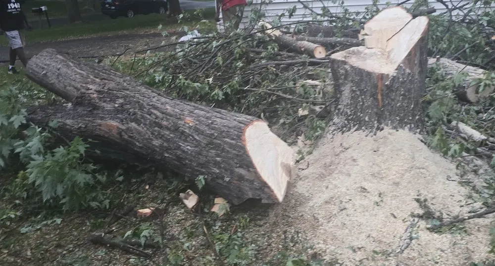 Expert outdoor landscaping for homes across Crystal, MN - Wise Scaping