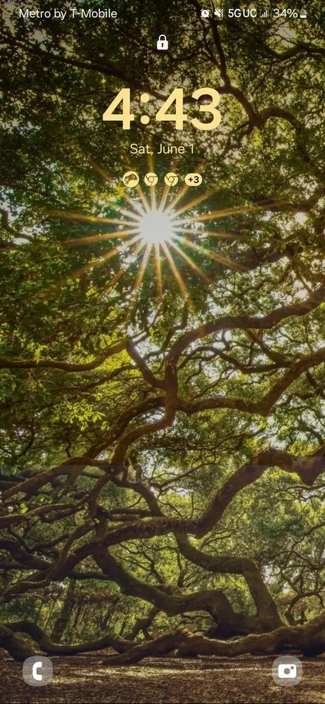 Reliable landscaping services in Mobile, AL - Wise Tree & Land Services