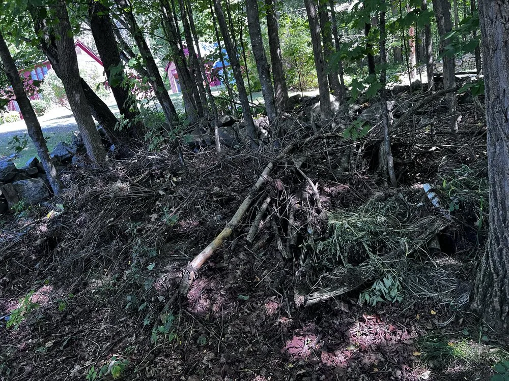 Professional outdoor landscaping in Concord, NH by Wise Yard