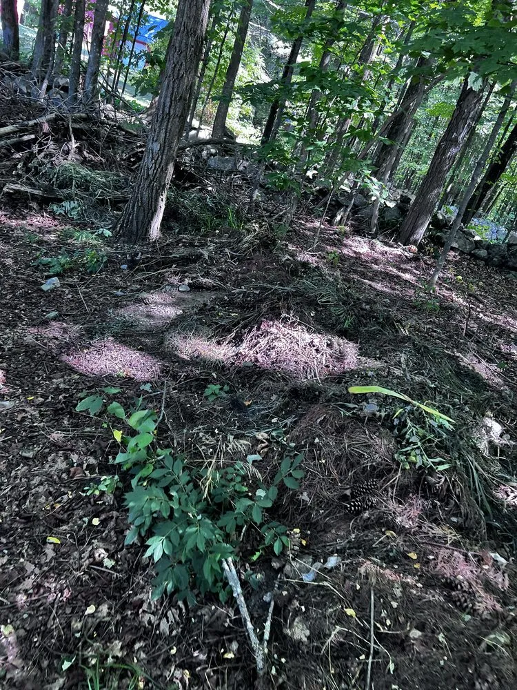 Top-rated outdoor landscaping in Concord, NH by Wise Yard