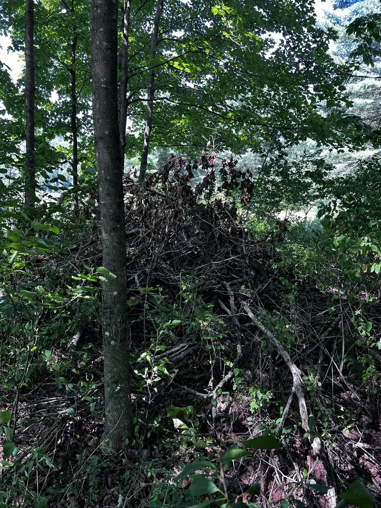 Top-rated lawn mowing service in Concord, NH by Wise Yard