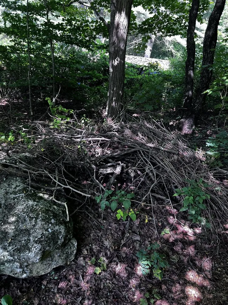 Expert residential landscaping in Concord, NH - Wise Yard