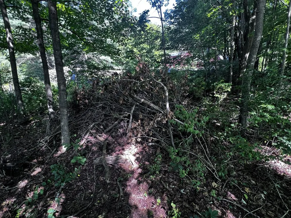 Trusted yard cleanup service in Concord, NH - Wise Yard