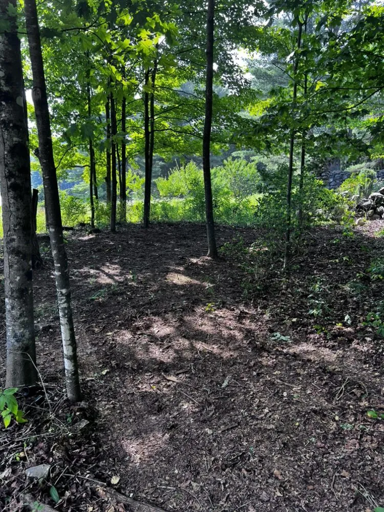 Top-rated landscape design with custom design across Concord, NH - Wise Yard