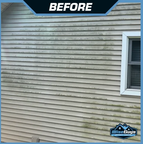 Top-rated lawn mowing service in Livonia, MI by WiseGuys Lawn and Landscape