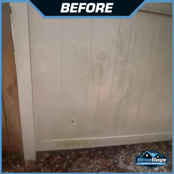 Affordable yard cleanup service for outdoor upgrades across Livonia, MI - WiseGuys Lawn and Landscape