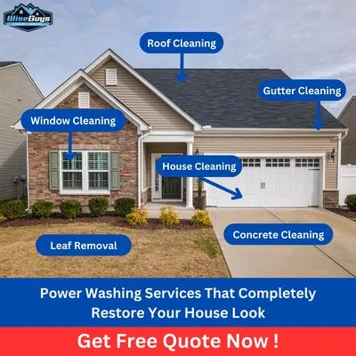 WiseGuys Lawn and Landscape Logo