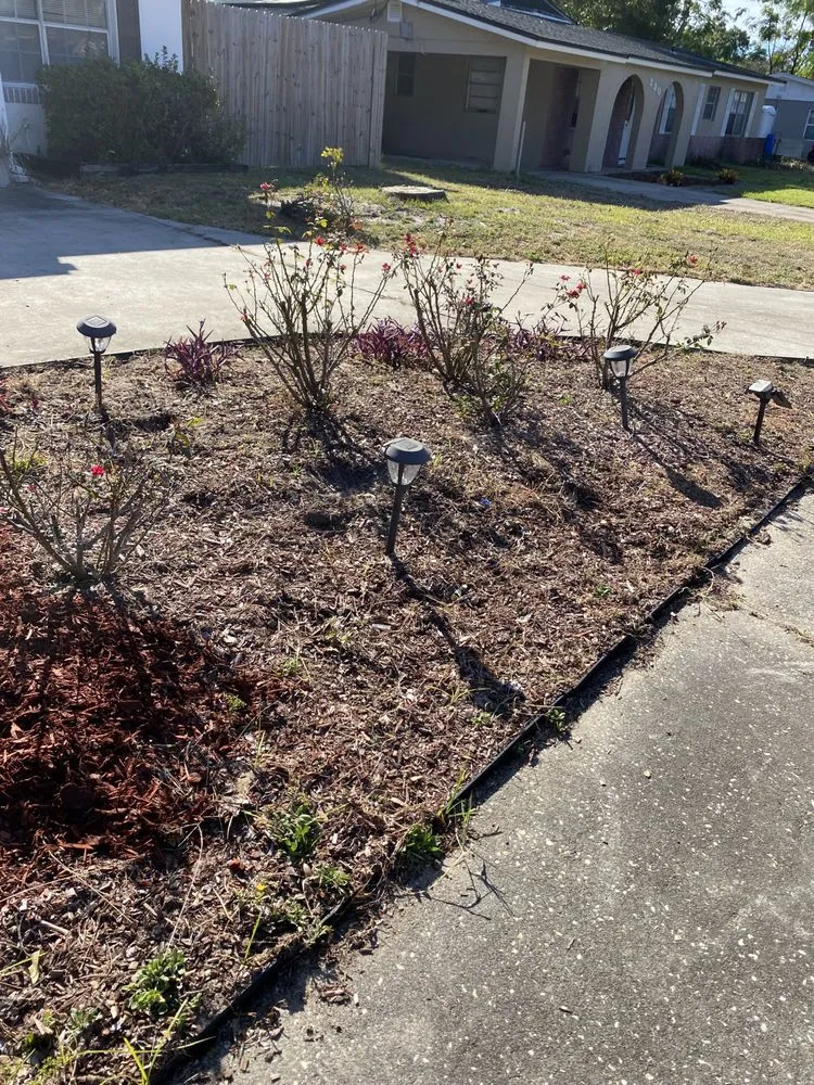 Local landscape installation for residential properties across Pace, FL - Wisemen Tree Company