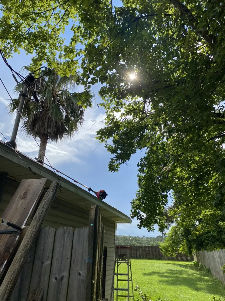 Affordable outdoor landscaping in Pace, FL - Wisemen Tree Company