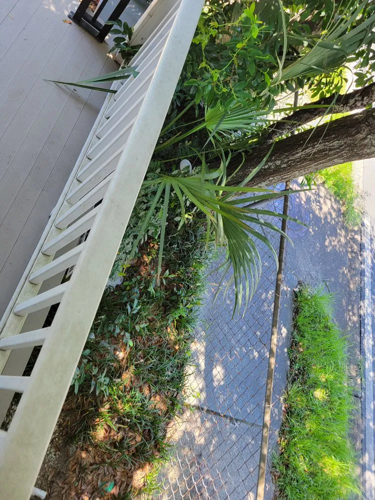 Local garden landscaping with custom design in Pace, FL by Wisemen Tree Company