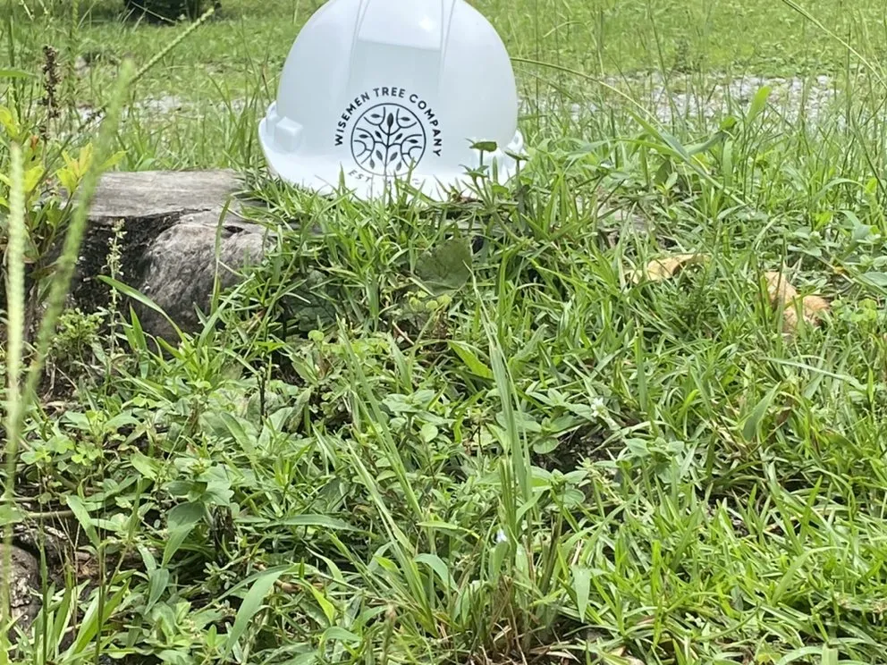 Affordable yard maintenance in Pace, FL by Wisemen Tree Company