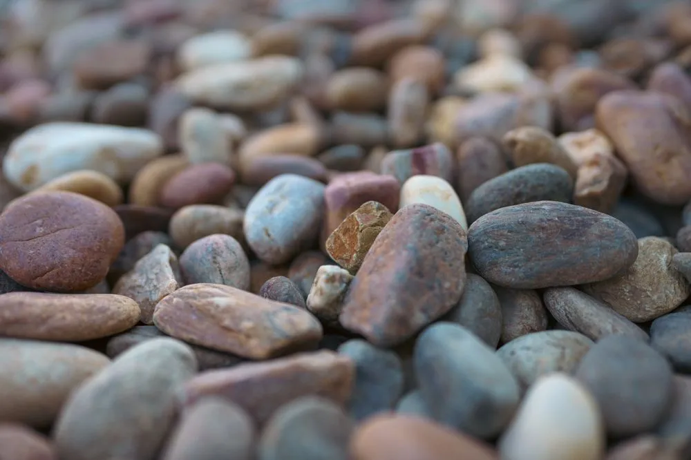 Reliable yard maintenance for year-round maintenance in Los Angeles, CA by Wiser Contractor