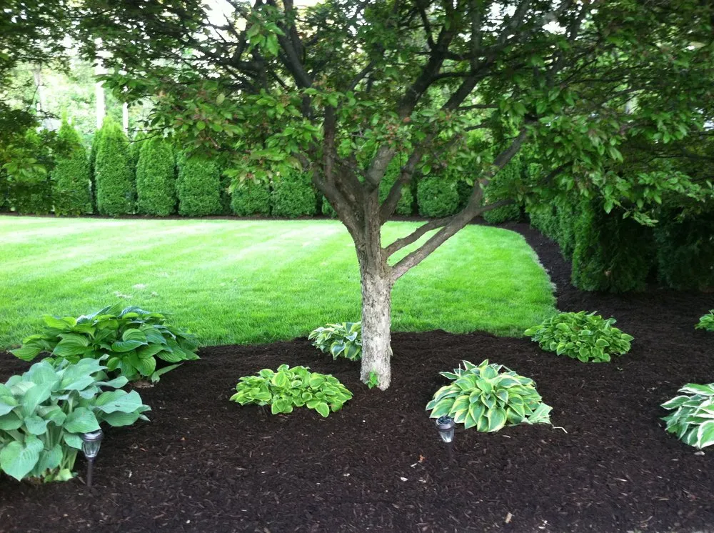 Reliable yard maintenance experts serving Swanton, OH - Wiser Lawn