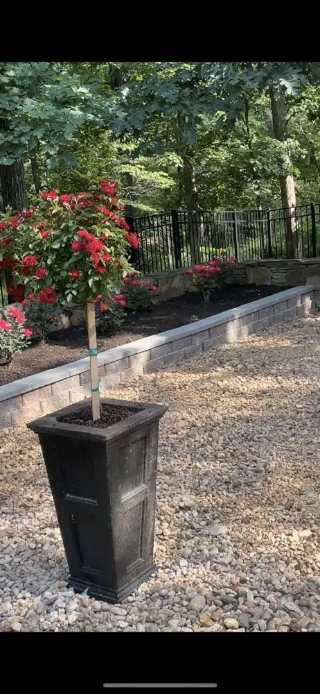 Expert landscaping services near you across Lothian, MD - Wiseview Landscaping