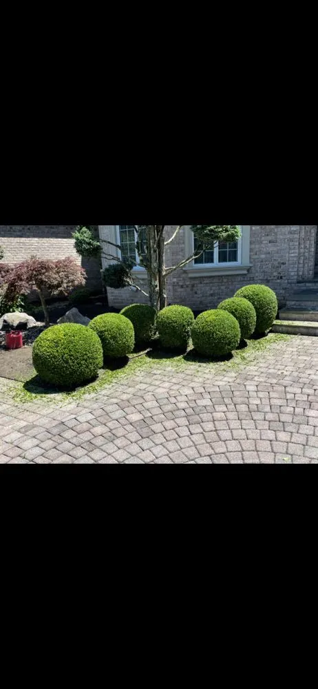 Affordable landscape installation near you across Lothian, MD - Wiseview Landscaping