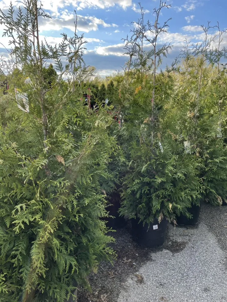 Reliable outdoor landscaping in Lothian, MD - Wiseview Landscaping