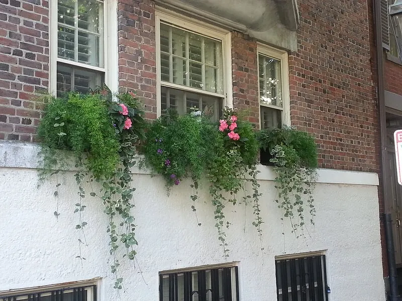 Affordable landscaping services with custom design across Boston, MA - Wisteria & Rose