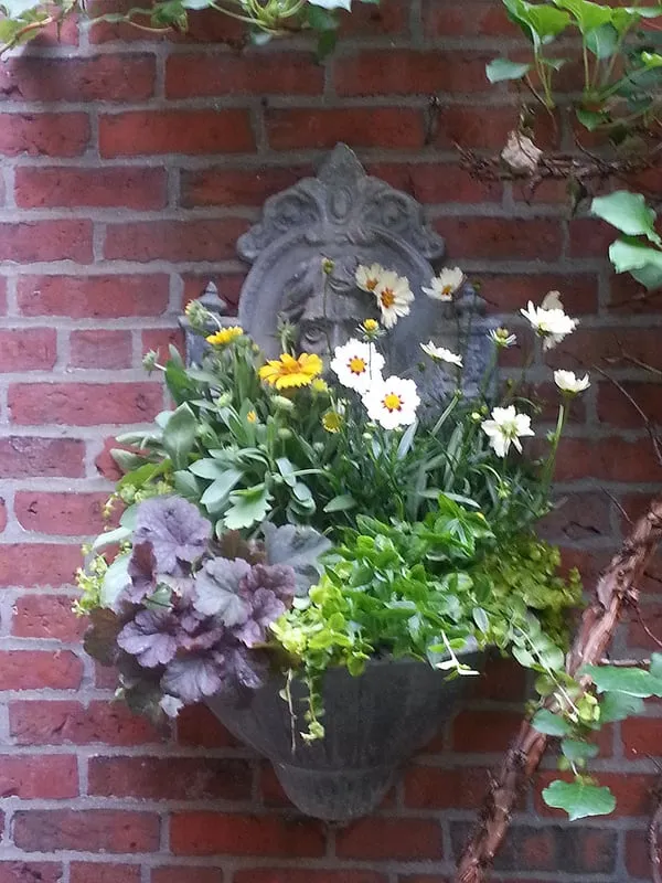 Trusted lawn care service experts serving Boston, MA - Wisteria & Rose