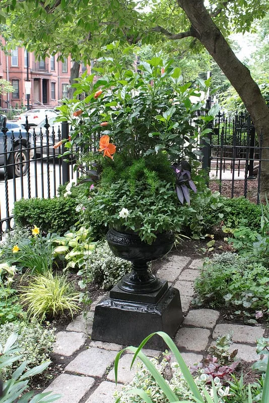 Expert garden landscaping experts serving Boston, MA - Wisteria & Rose