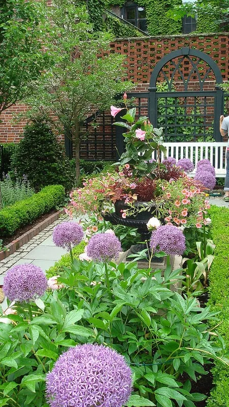 Expert yard maintenance for homes in Boston, MA by Wisteria & Rose