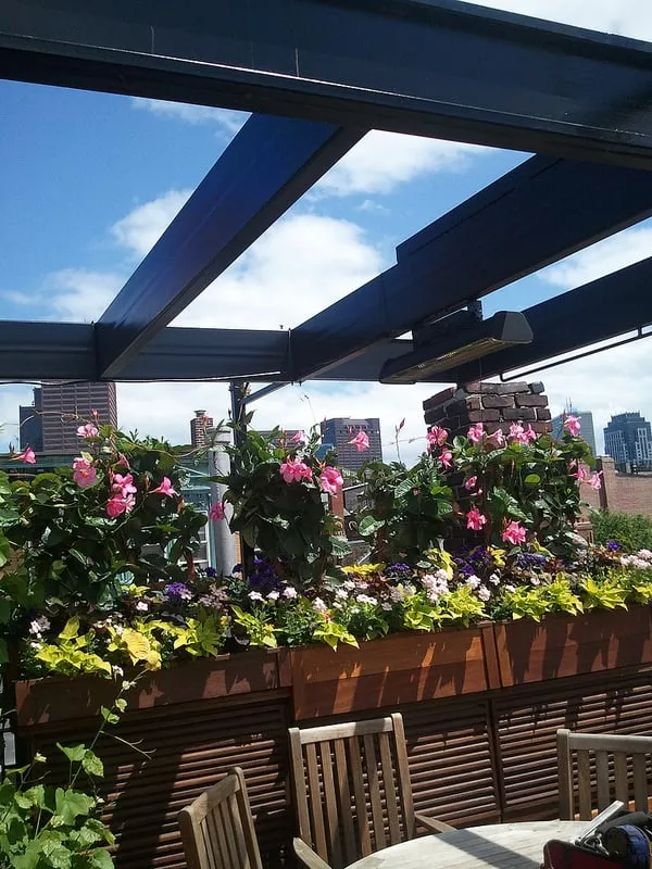 Expert lawn care service in Boston, MA - Wisteria & Rose