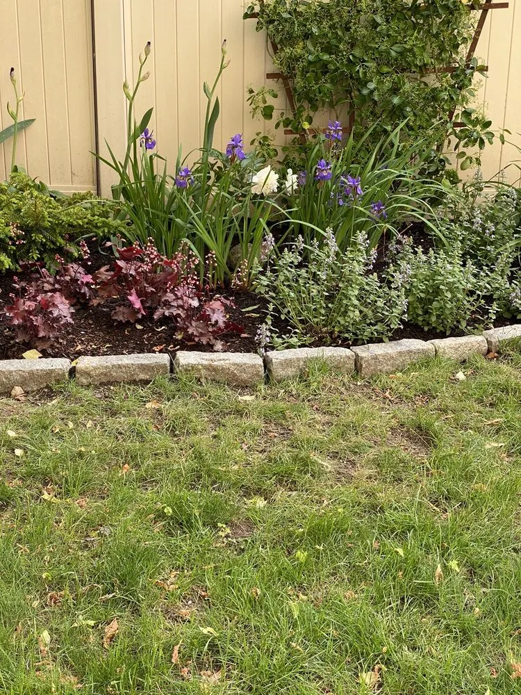 Custom landscape installation in Boston, MA by Wisteria & Rose