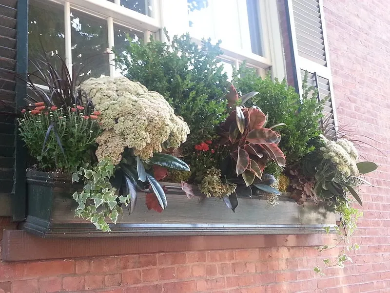 Trusted landscaping services for homes in Boston, MA by Wisteria & Rose