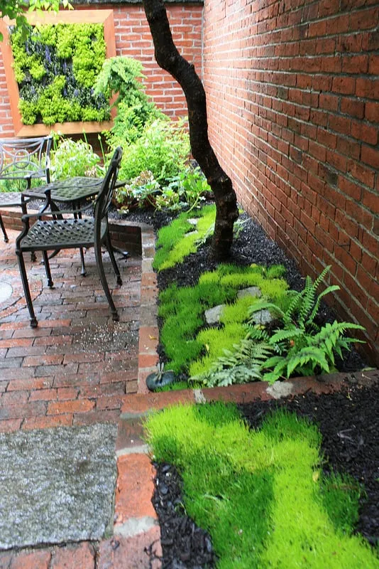 Local lawn mowing service near you in Boston, MA by Wisteria & Rose