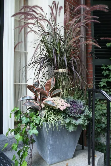 Local landscape design with custom design across Boston, MA - Wisteria & Rose