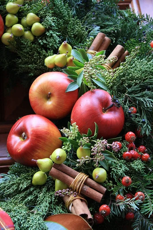 Affordable landscaping services for residential properties across Boston, MA - Wisteria & Rose