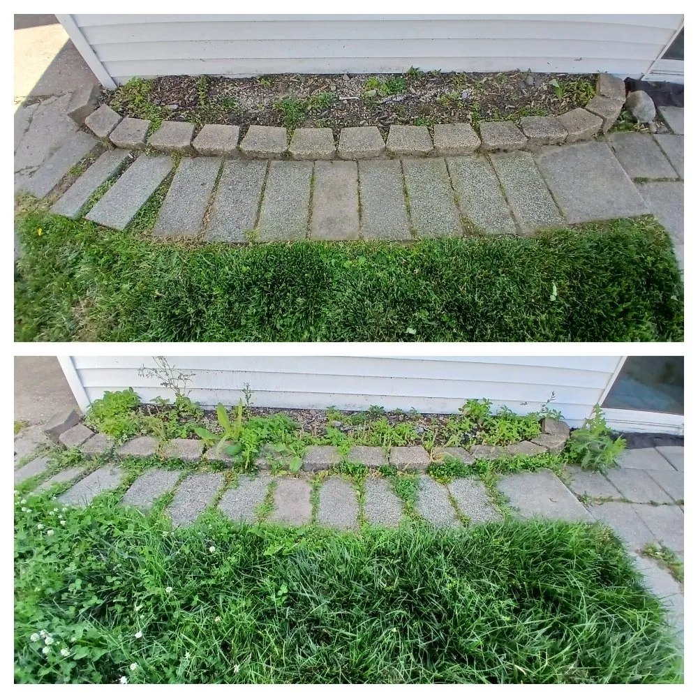 Trusted residential landscaping experts serving Taylor, MI - Wisteria Lawn Care