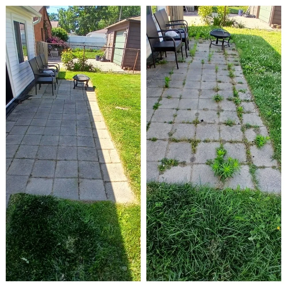 Affordable outdoor landscaping in Taylor, MI - Wisteria Lawn Care