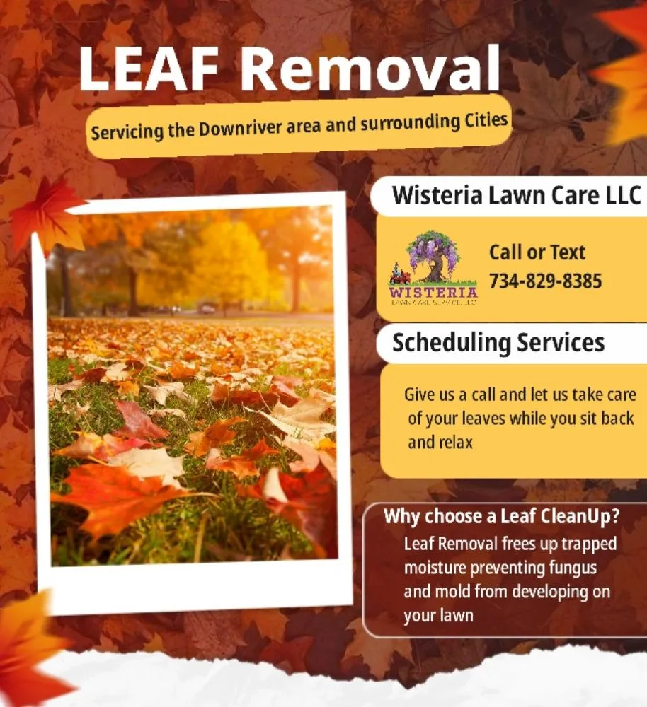 Professional landscaping services with custom design across Taylor, MI - Wisteria Lawn Care