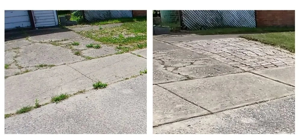 Affordable yard maintenance experts serving Taylor, MI - Wisteria Lawn Care