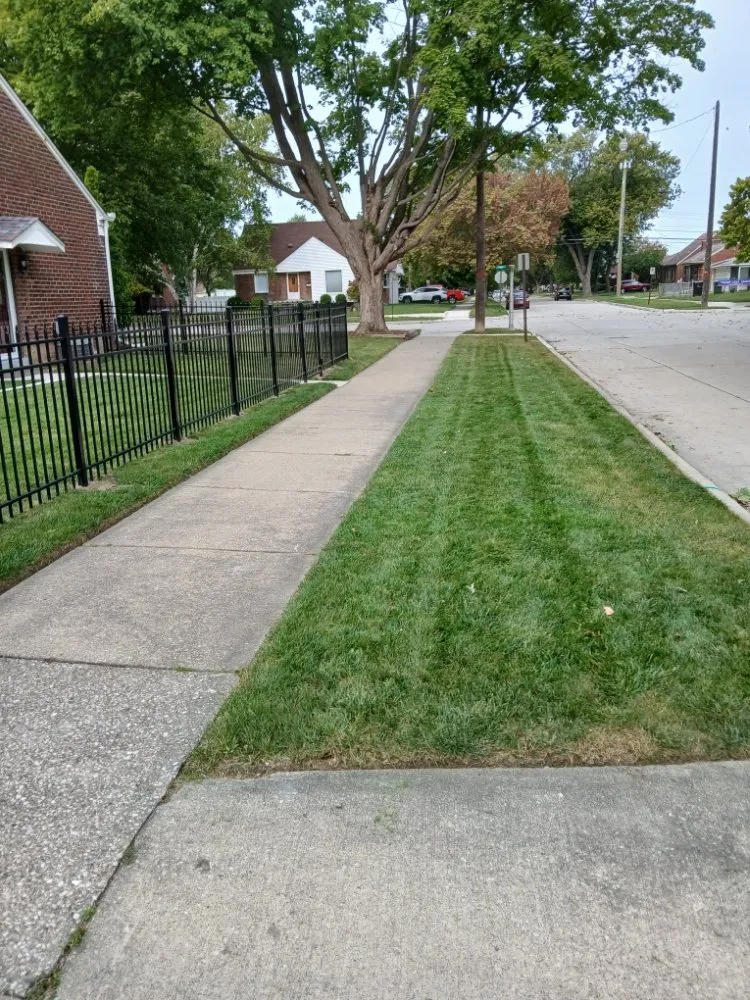 Reliable landscape design for homes across Taylor, MI - Wisteria Lawn Care