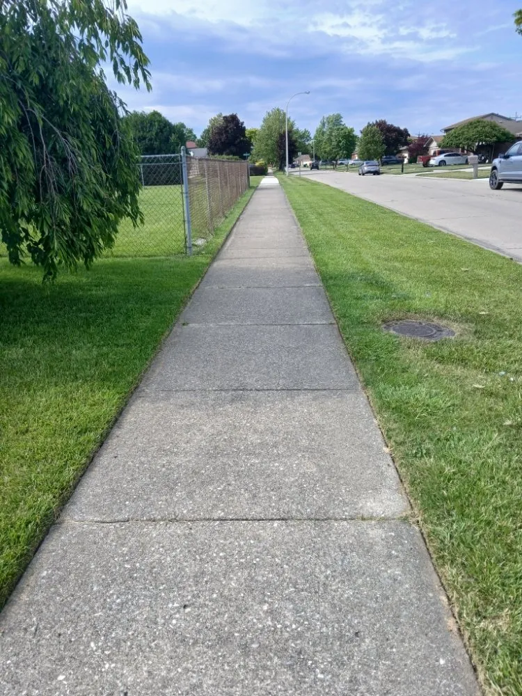 Affordable lawn care service in Taylor, MI - Wisteria Lawn Care