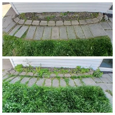 Wisteria Lawn Care Logo