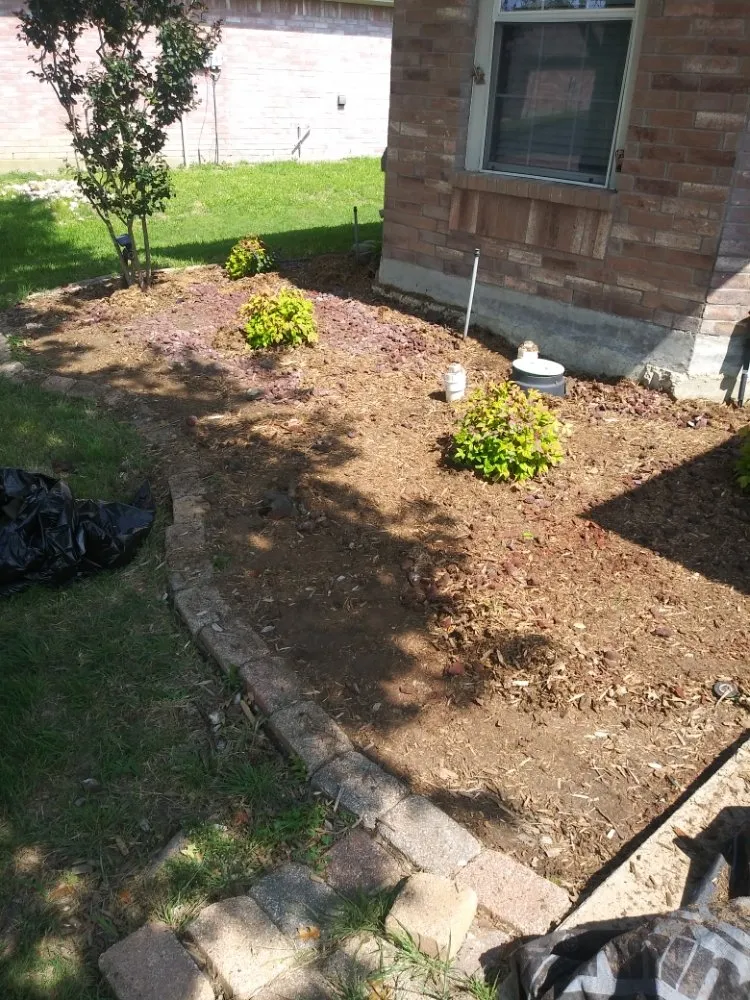 Expert yard maintenance for beautiful yards across DeSoto, TX - Wita Lawn Services