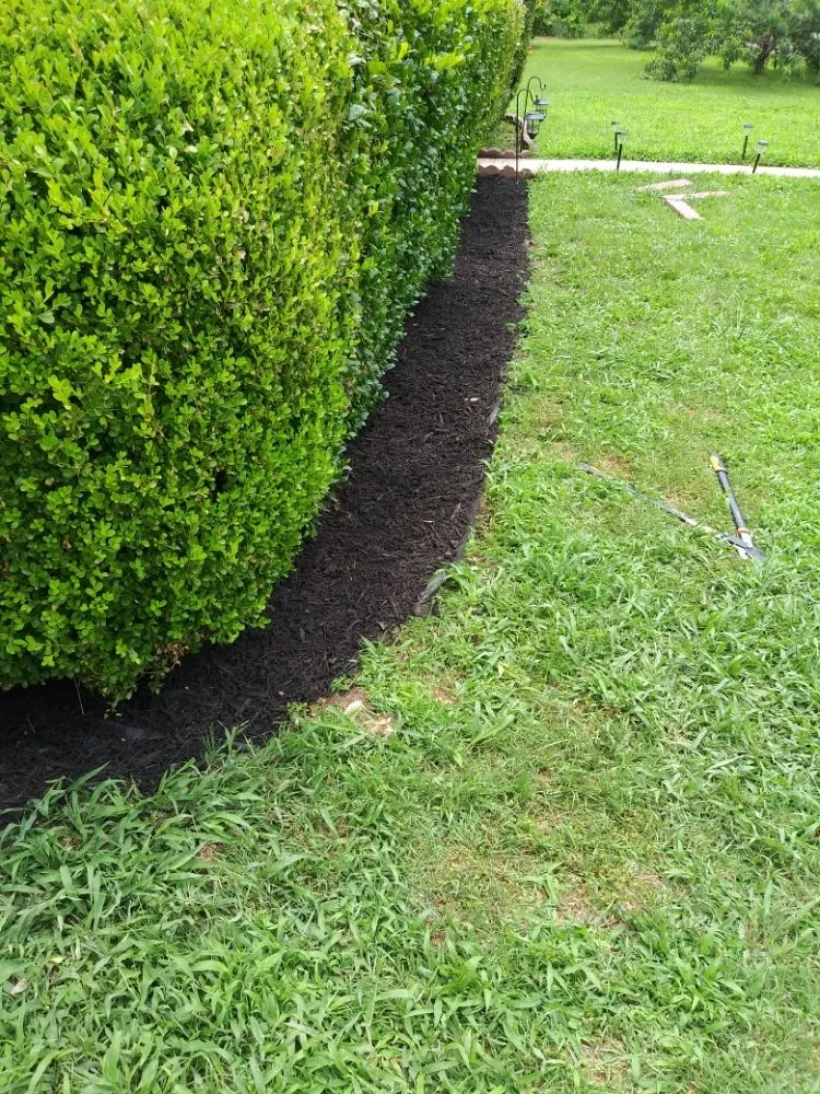 Professional landscaping services experts serving DeSoto, TX - Wita Lawn Services