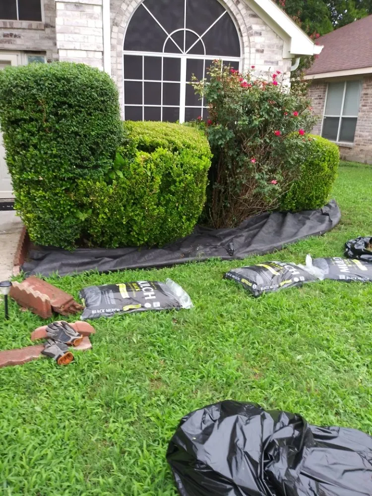 Top-rated yard cleanup service experts serving DeSoto, TX - Wita Lawn Services