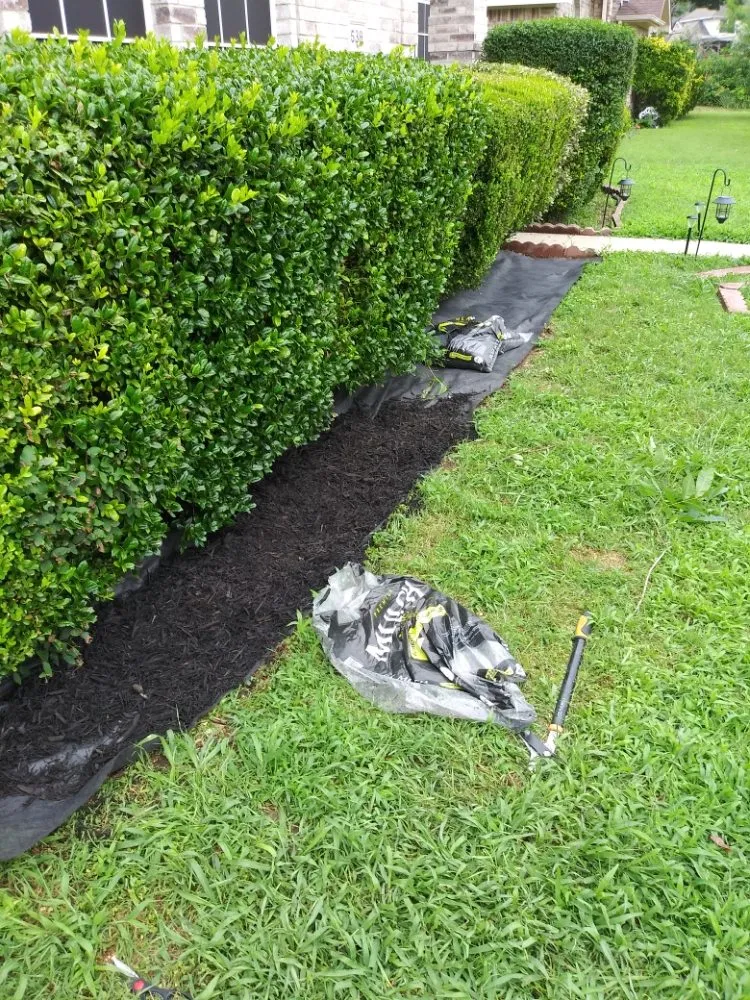 Professional landscape installation experts serving DeSoto, TX - Wita Lawn Services