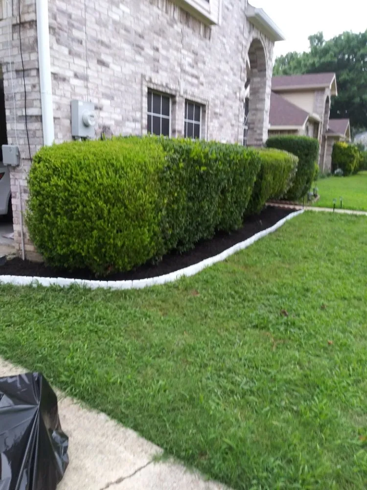 Affordable garden landscaping in DeSoto, TX by Wita Lawn Services