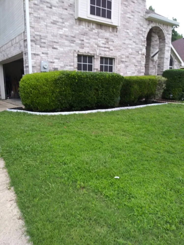Affordable lawn mowing service in DeSoto, TX by Wita Lawn Services